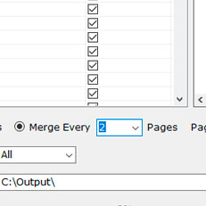 Customize Page Amount on Each Merged Page